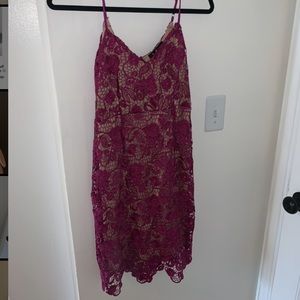 Lulus Lace Dress